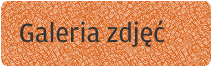 Galeria zdjęć Galeria zdjęć